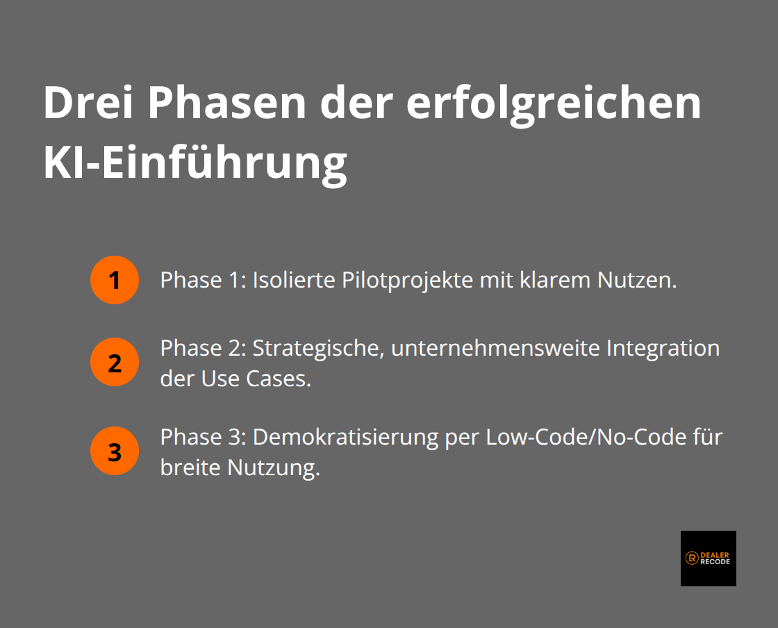 Kompakte Darstellung der drei Transformationsphasen: Pilotprojekte, Integration, Demokratisierung.